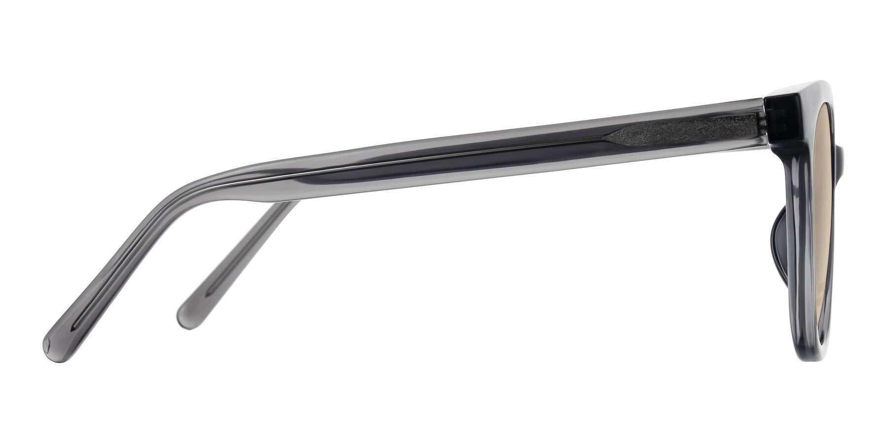 Side of Jeromme in Translucent Gray with Light Brown Tinted Lenses