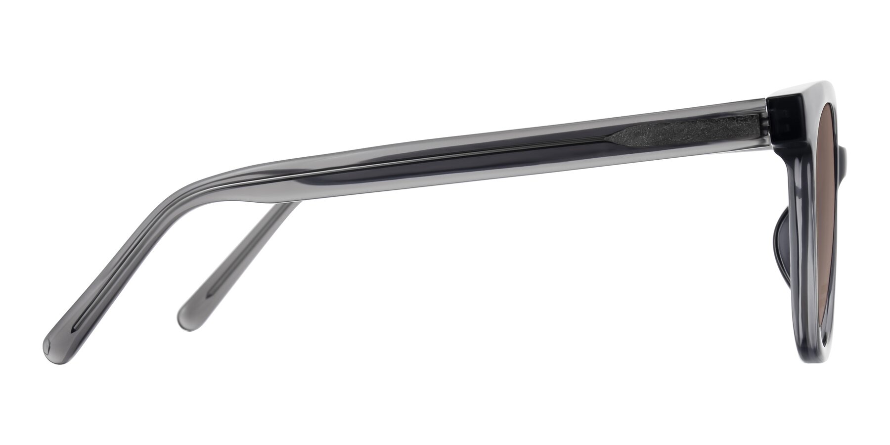 Side of Jeromme in Translucent Gray with Medium Brown Tinted Lenses