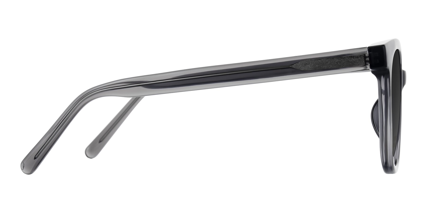 Side of Jeromme in Translucent Gray with Gray Tinted Lenses