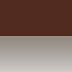 Brown/Gunmetal