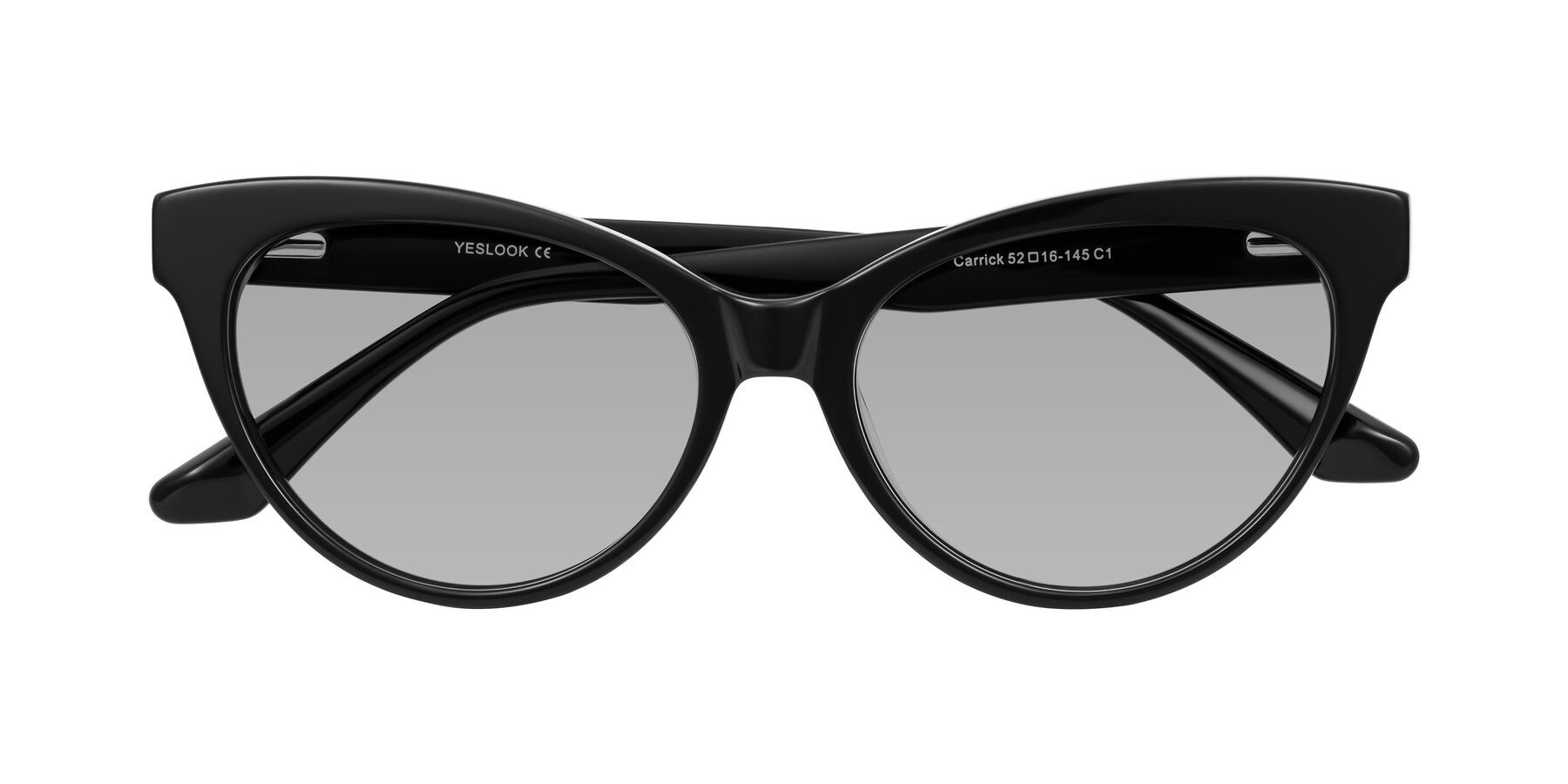 Folded Front of Carrick in Black with Light Gray Tinted Lenses