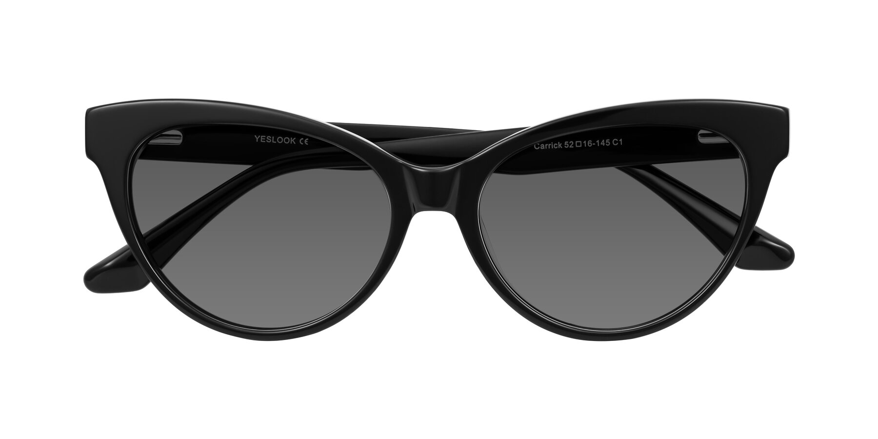 Folded Front of Carrick in Black with Medium Gray Tinted Lenses
