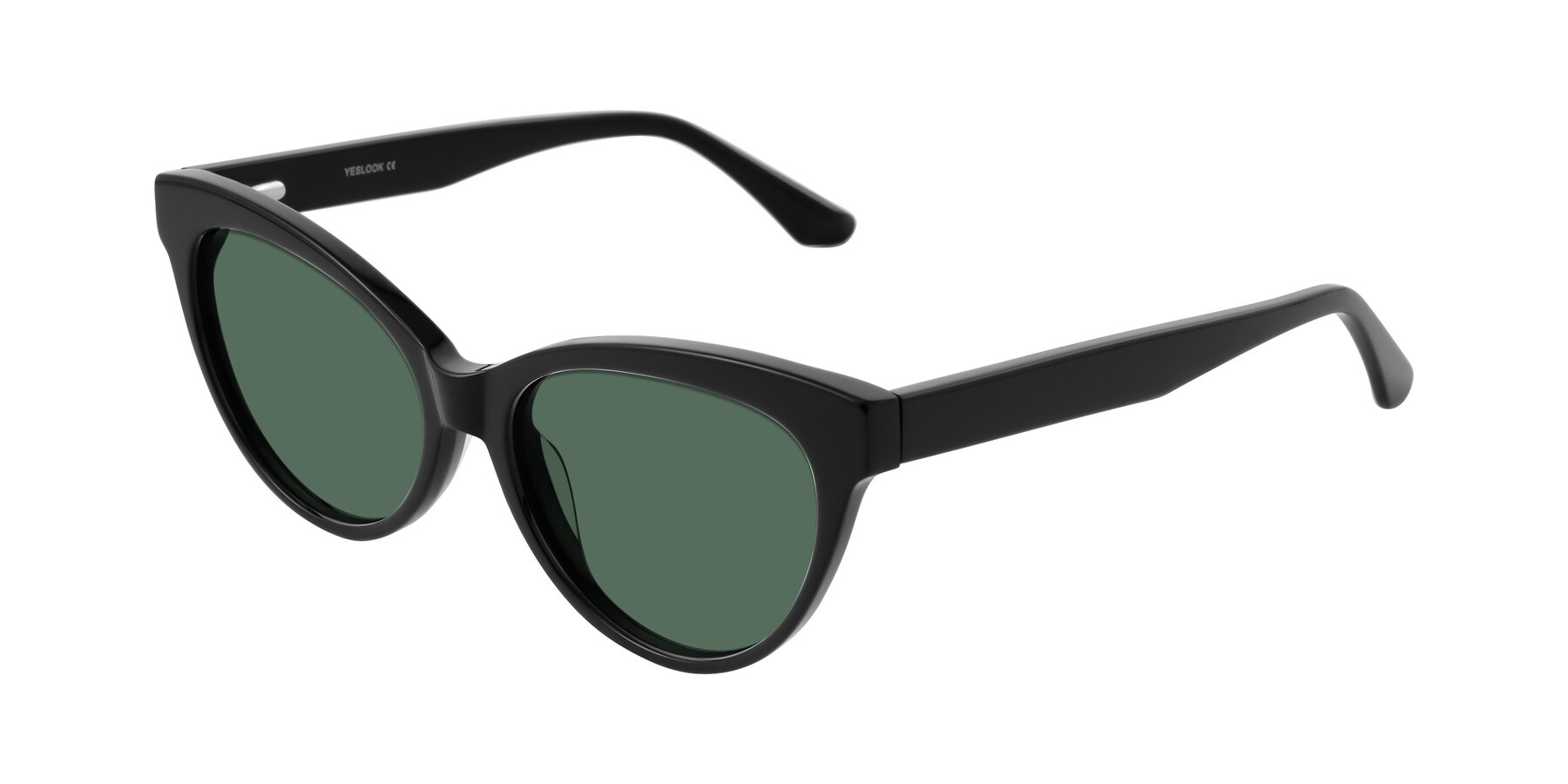 Angle of Carrick in Black with Green Polarized Lenses