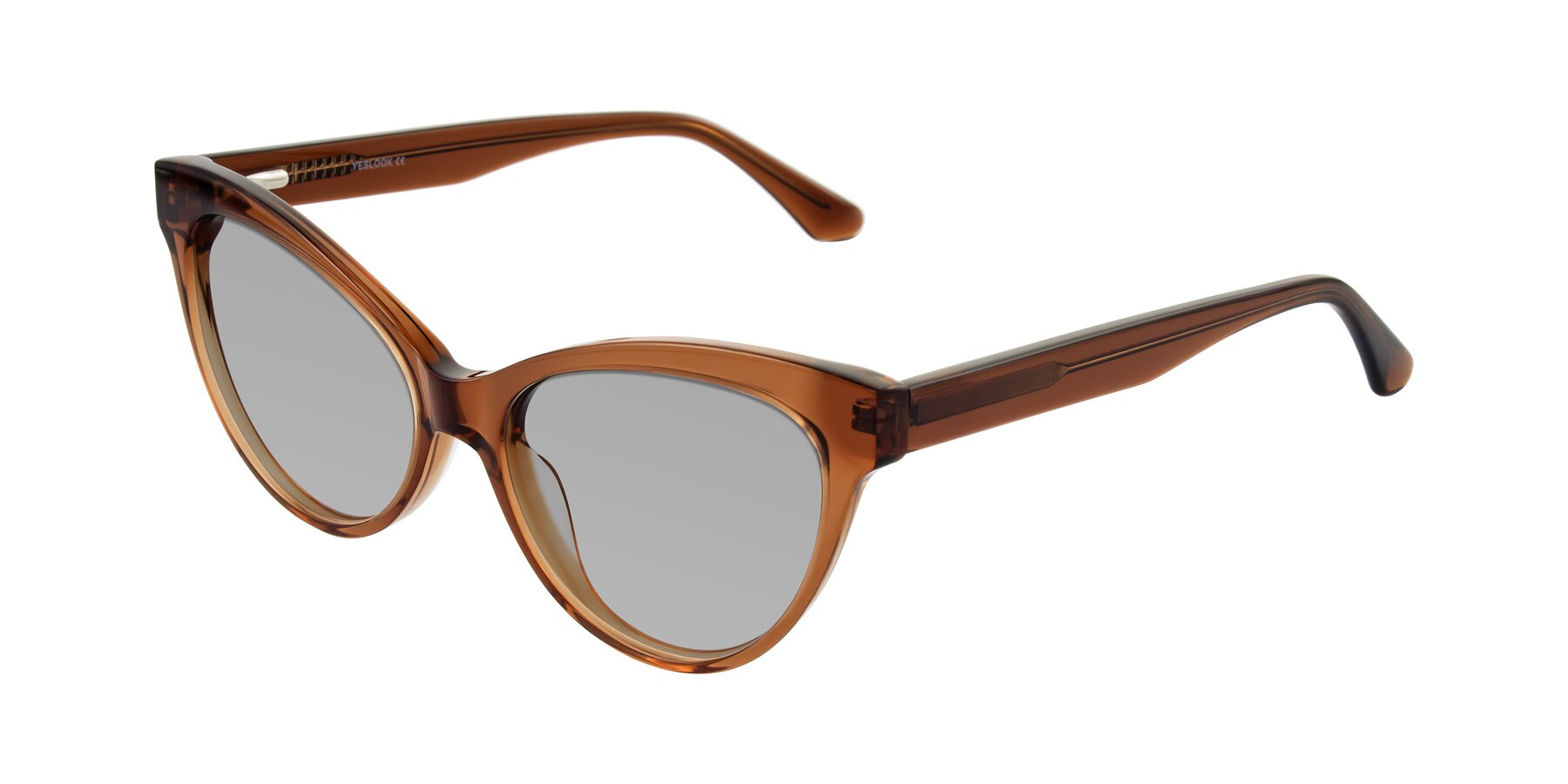 Angle of Carrick in Brown with Light Gray Tinted Lenses