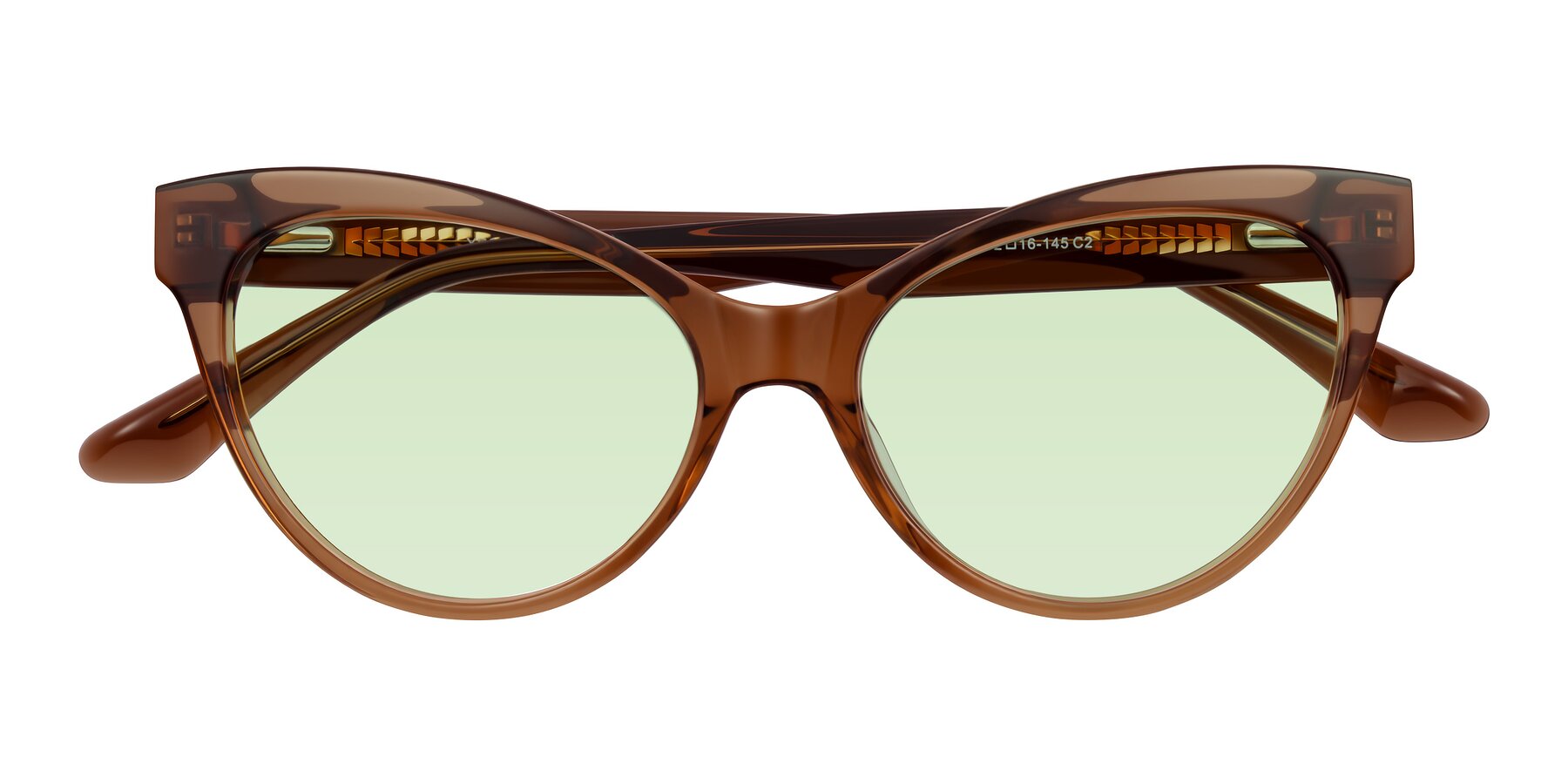 Folded Front of Carrick in Brown with Light Green Tinted Lenses