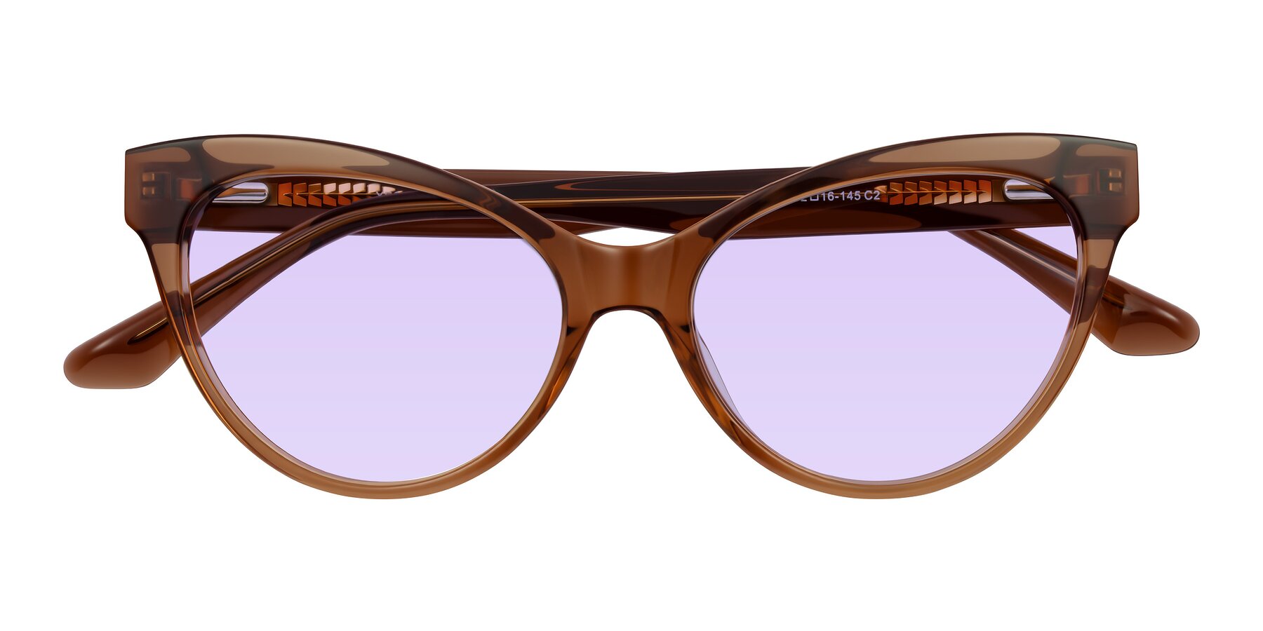 Folded Front of Carrick in Brown with Light Purple Tinted Lenses