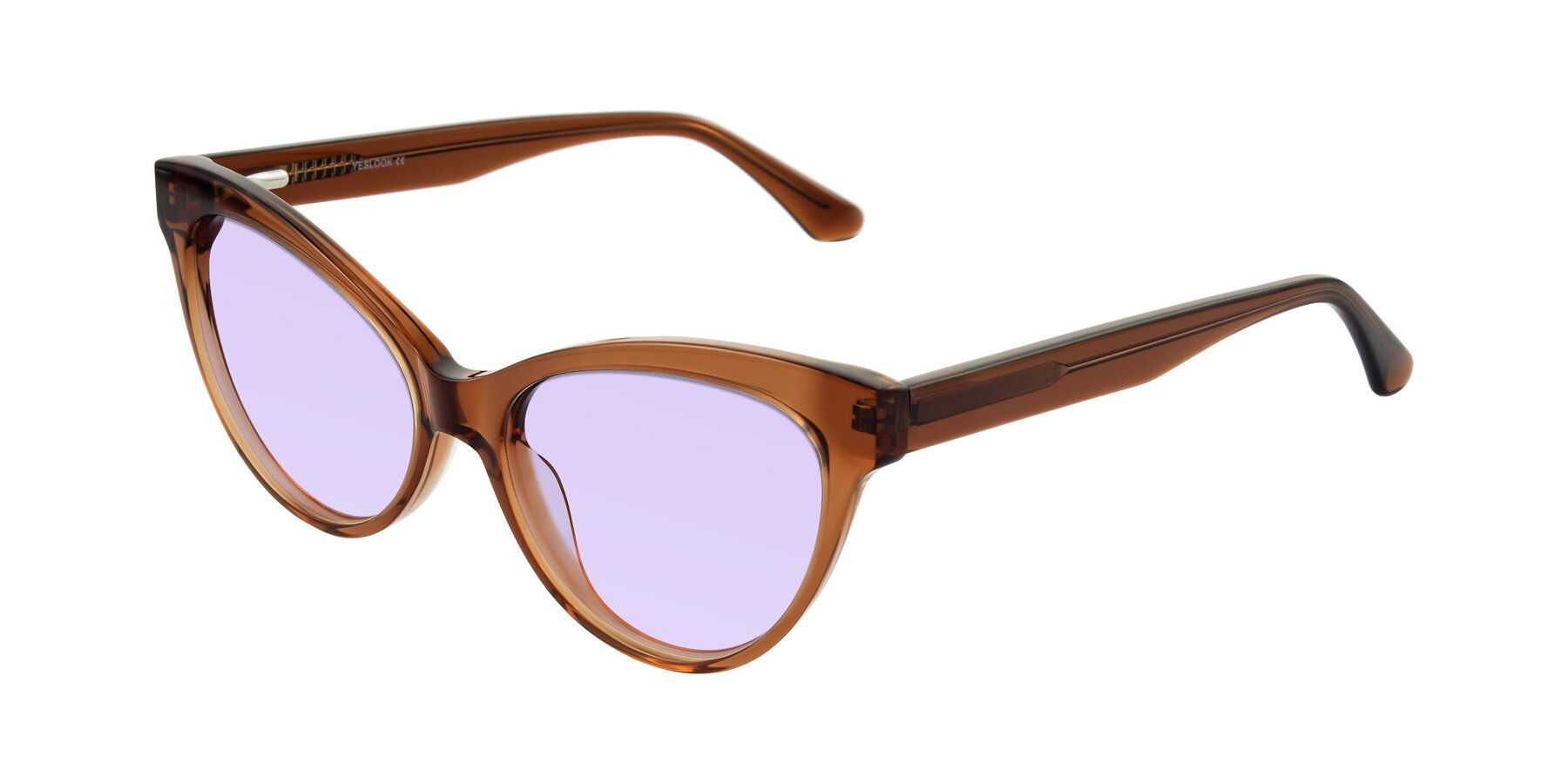 Angle of Carrick in Brown with Light Purple Tinted Lenses