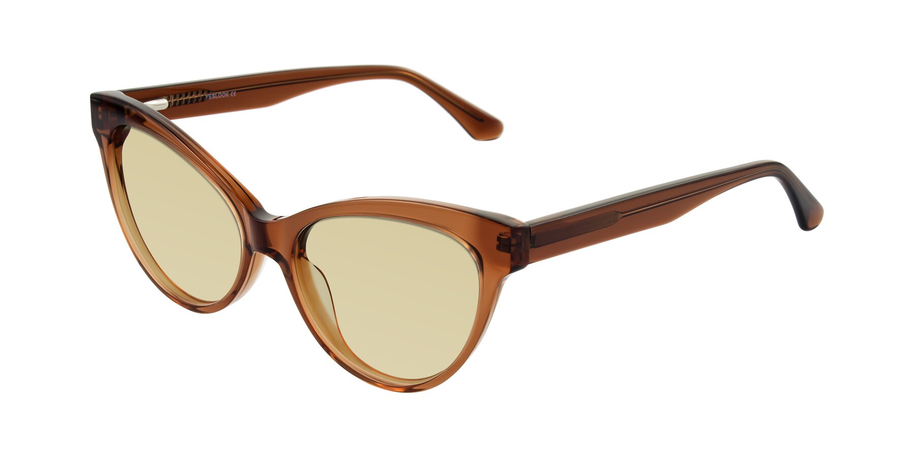 Angle of Carrick in Brown with Light Champagne Tinted Lenses