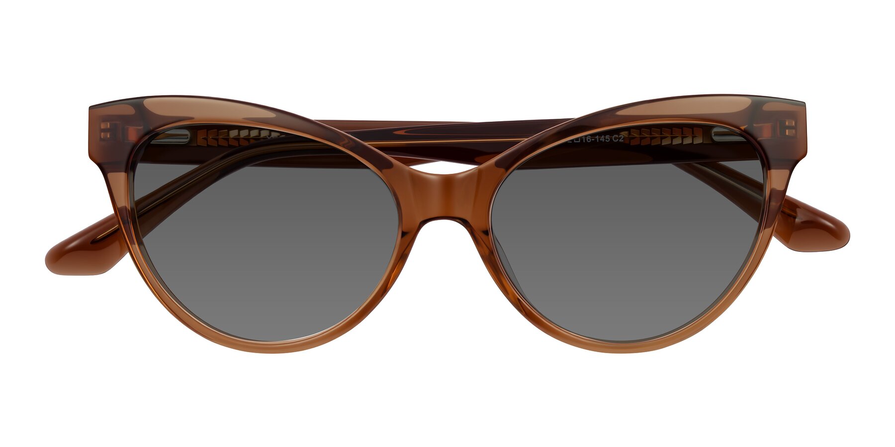 Folded Front of Carrick in Brown with Medium Gray Tinted Lenses