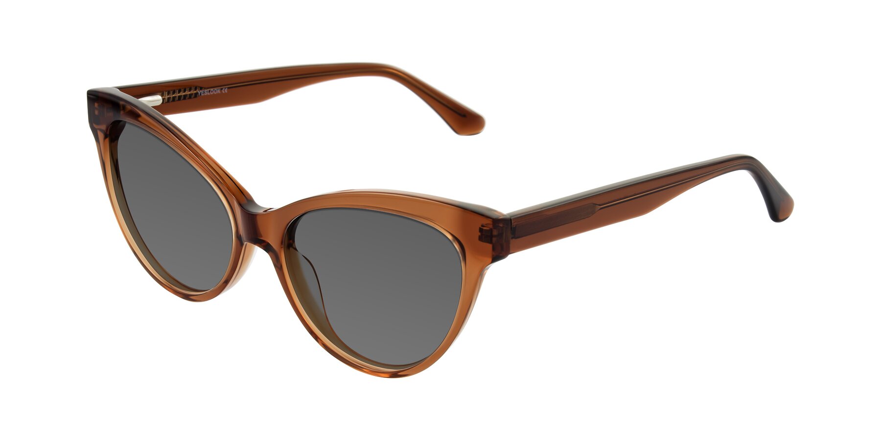 Angle of Carrick in Brown with Medium Gray Tinted Lenses
