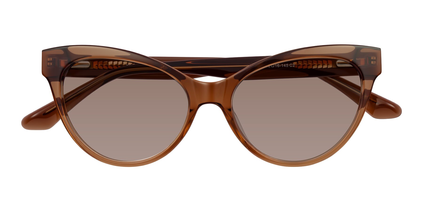 Folded Front of Carrick in Brown with Medium Brown Tinted Lenses