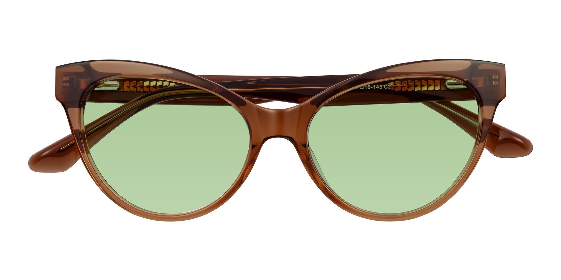 Folded Front of Carrick in Brown with Medium Green Tinted Lenses