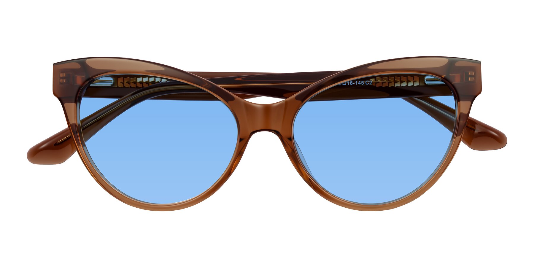 Folded Front of Carrick in Brown with Medium Blue Tinted Lenses