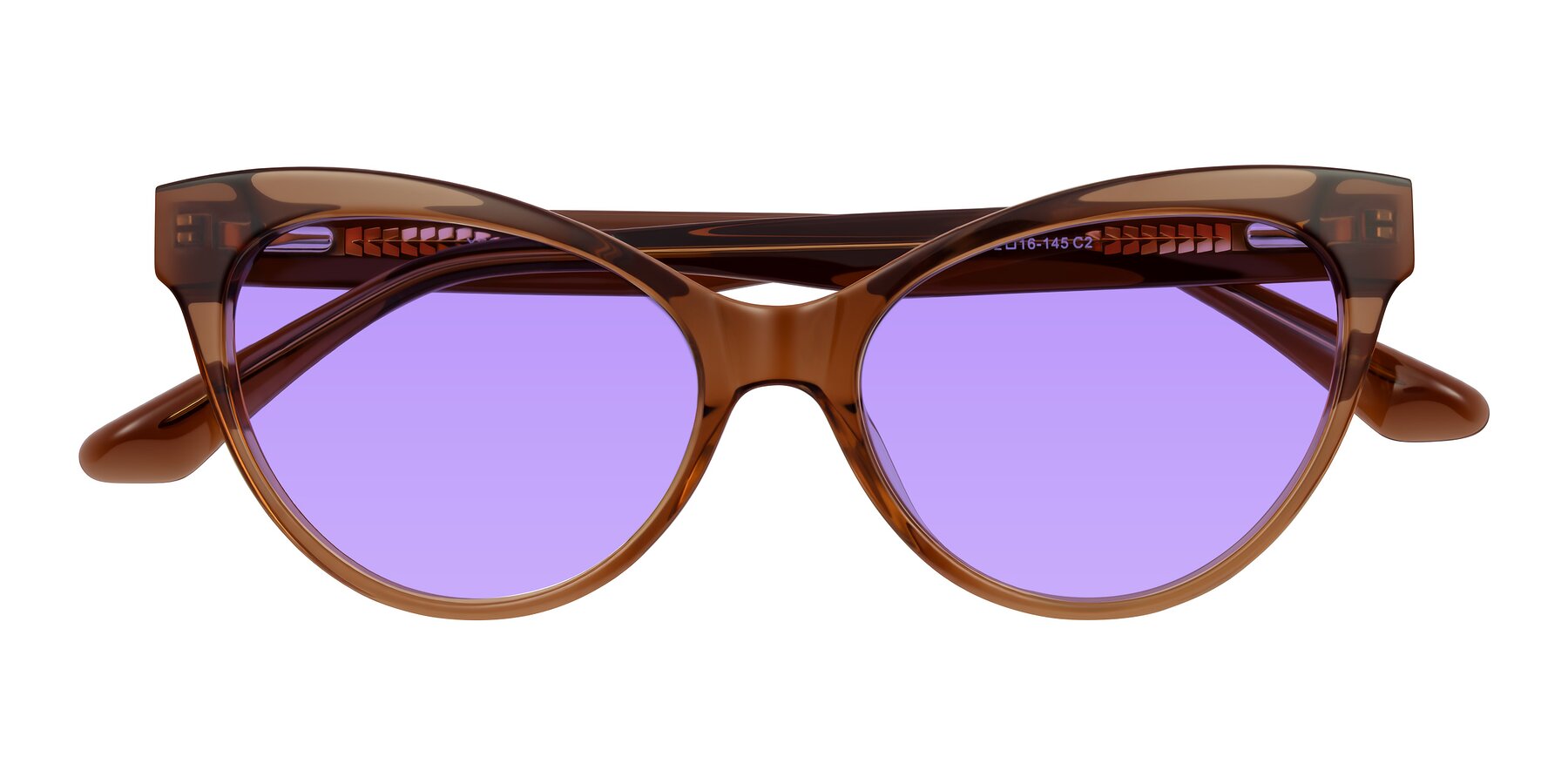 Folded Front of Carrick in Brown with Medium Purple Tinted Lenses