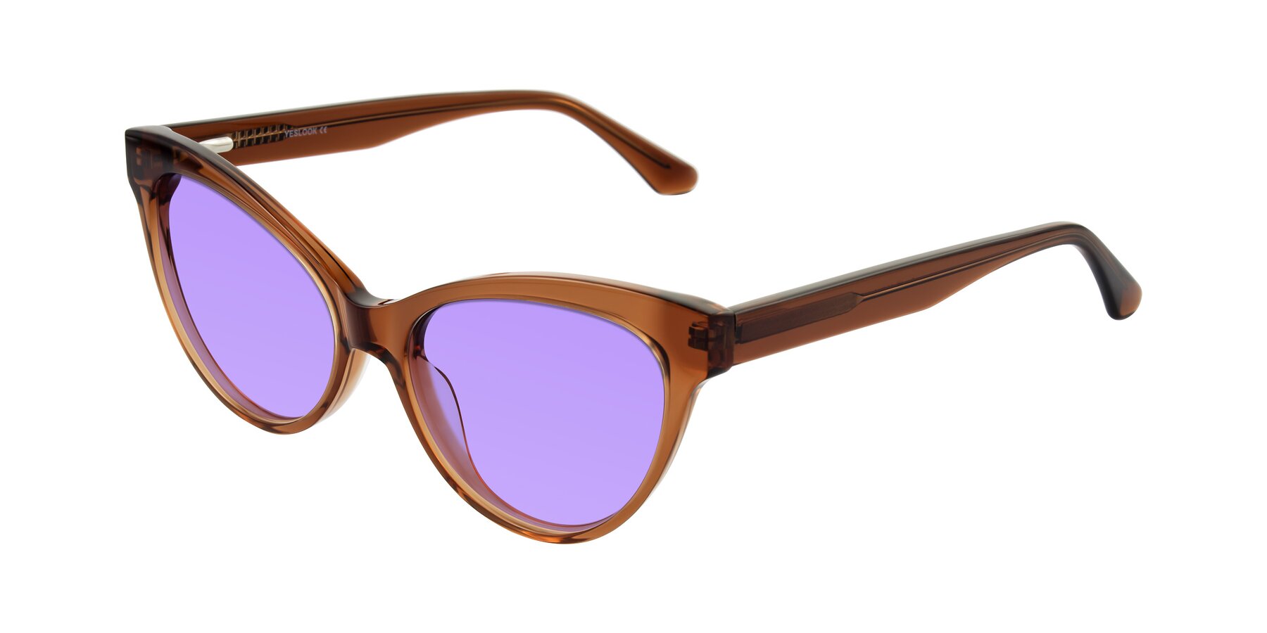 Angle of Carrick in Brown with Medium Purple Tinted Lenses