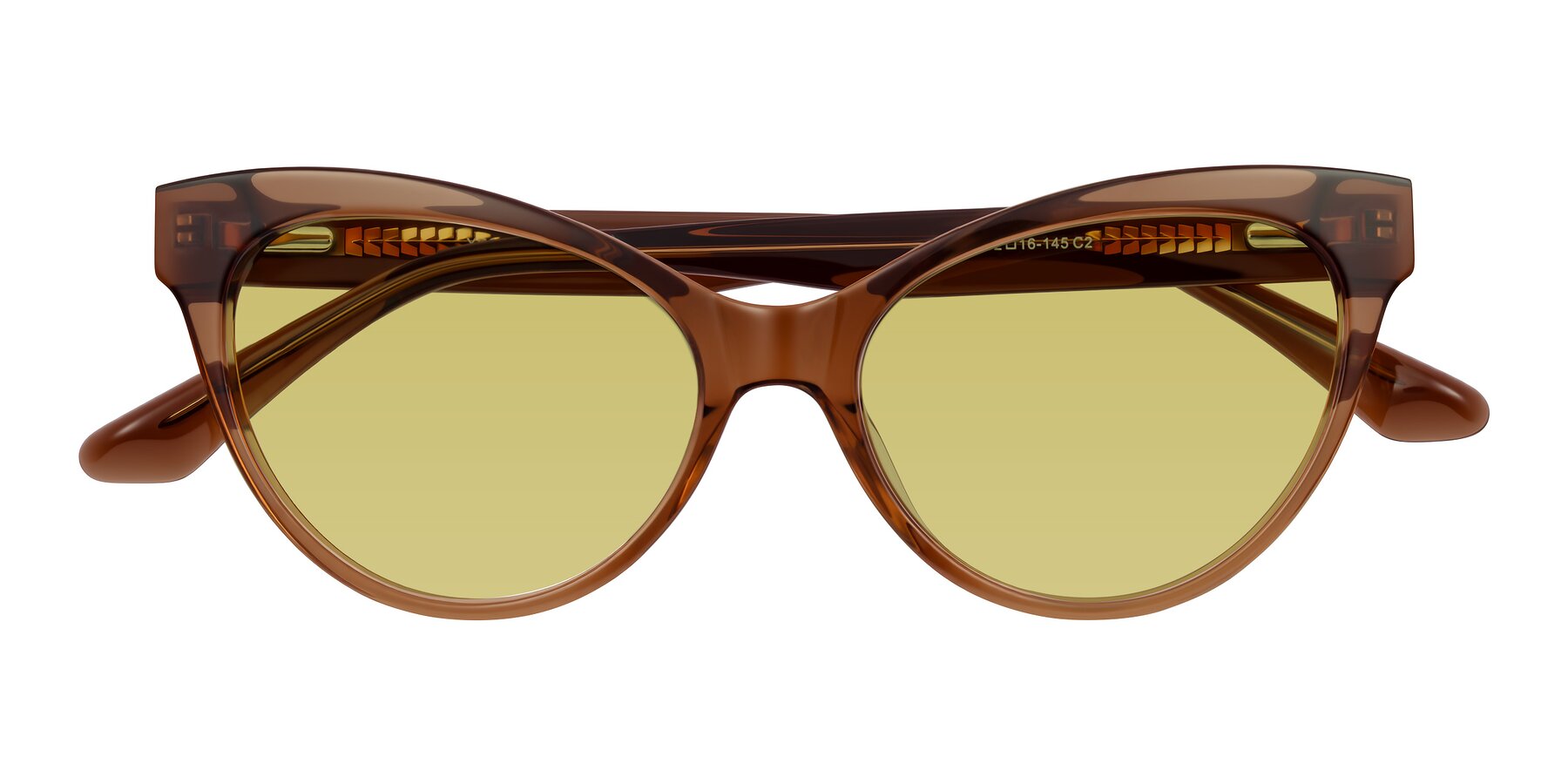 Folded Front of Carrick in Brown with Medium Champagne Tinted Lenses