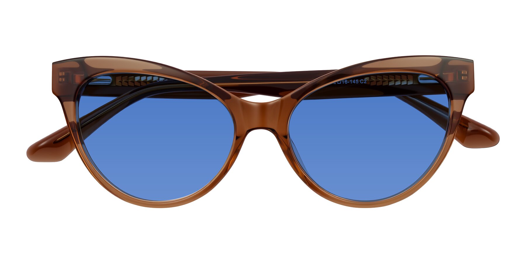 Folded Front of Carrick in Brown with Blue Tinted Lenses