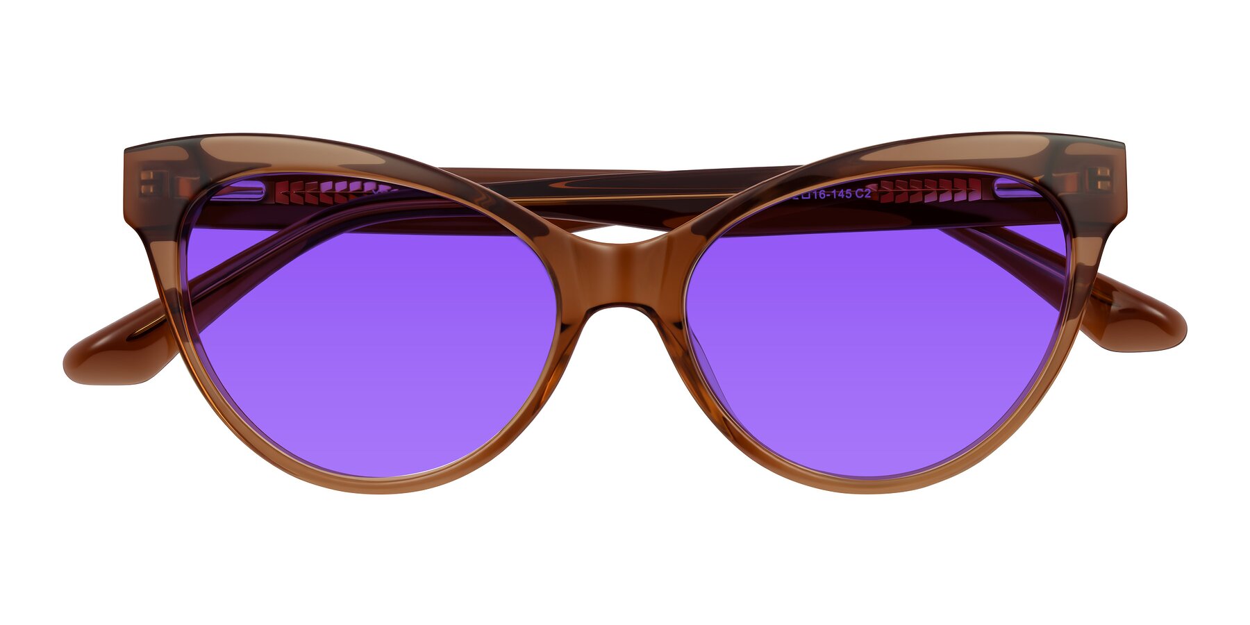 Folded Front of Carrick in Brown with Purple Tinted Lenses