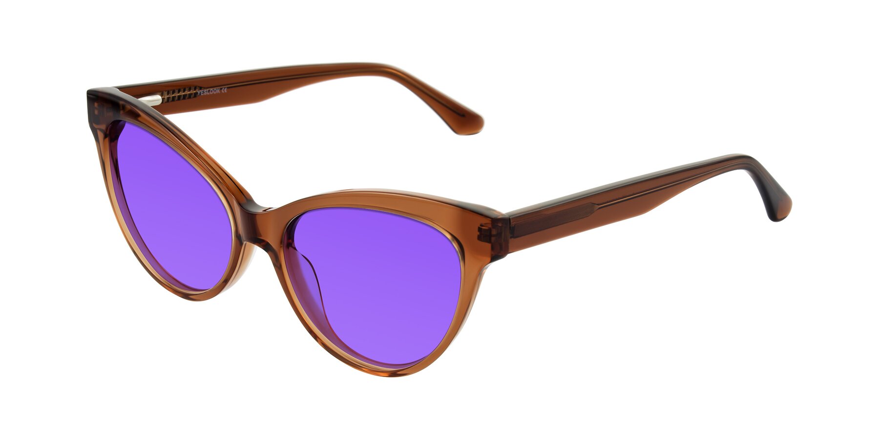 Angle of Carrick in Brown with Purple Tinted Lenses