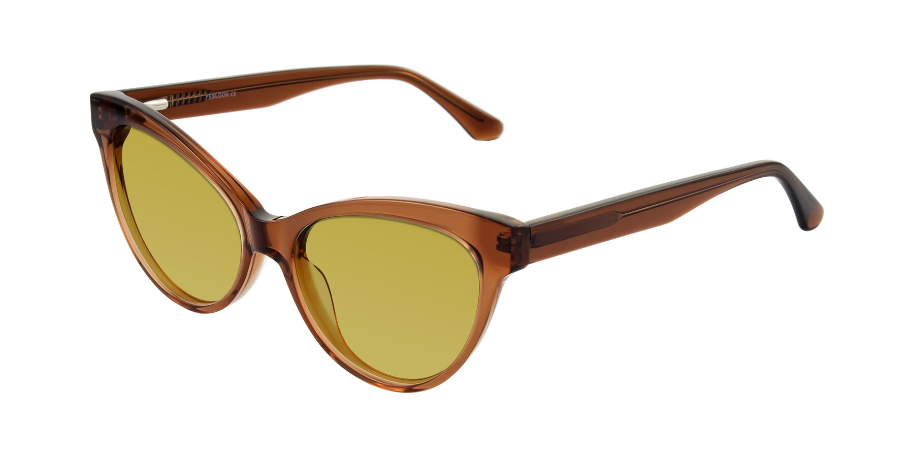 Angle of Carrick in Brown with Champagne Tinted Lenses