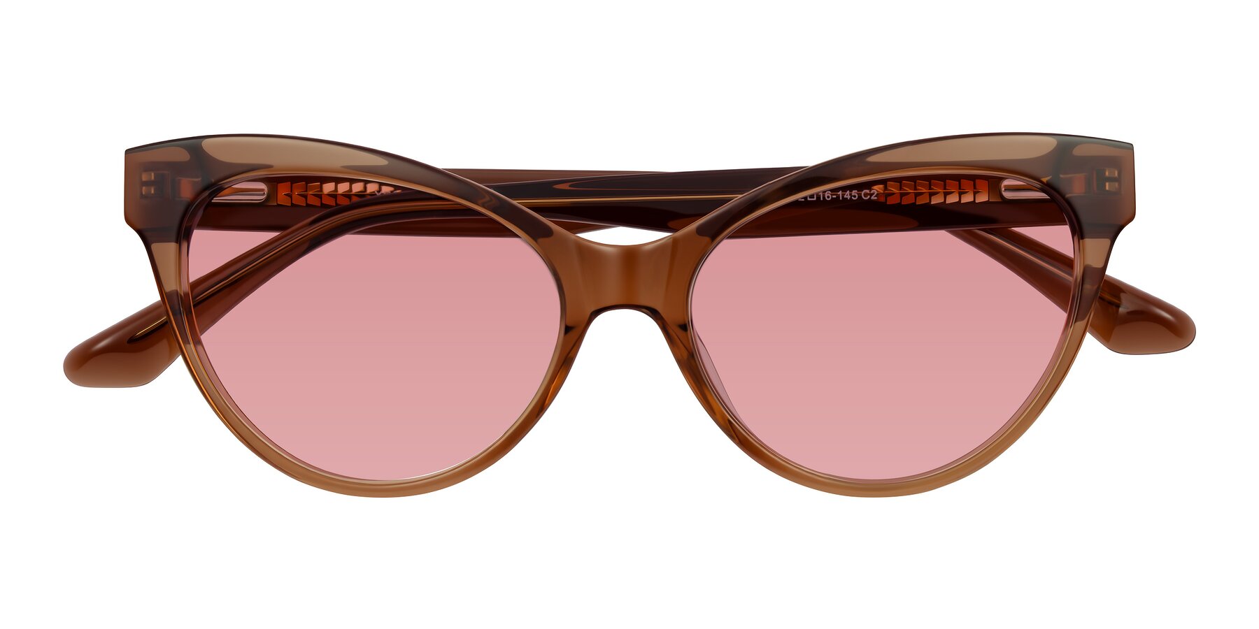 Folded Front of Carrick in Brown with Medium Garnet Tinted Lenses