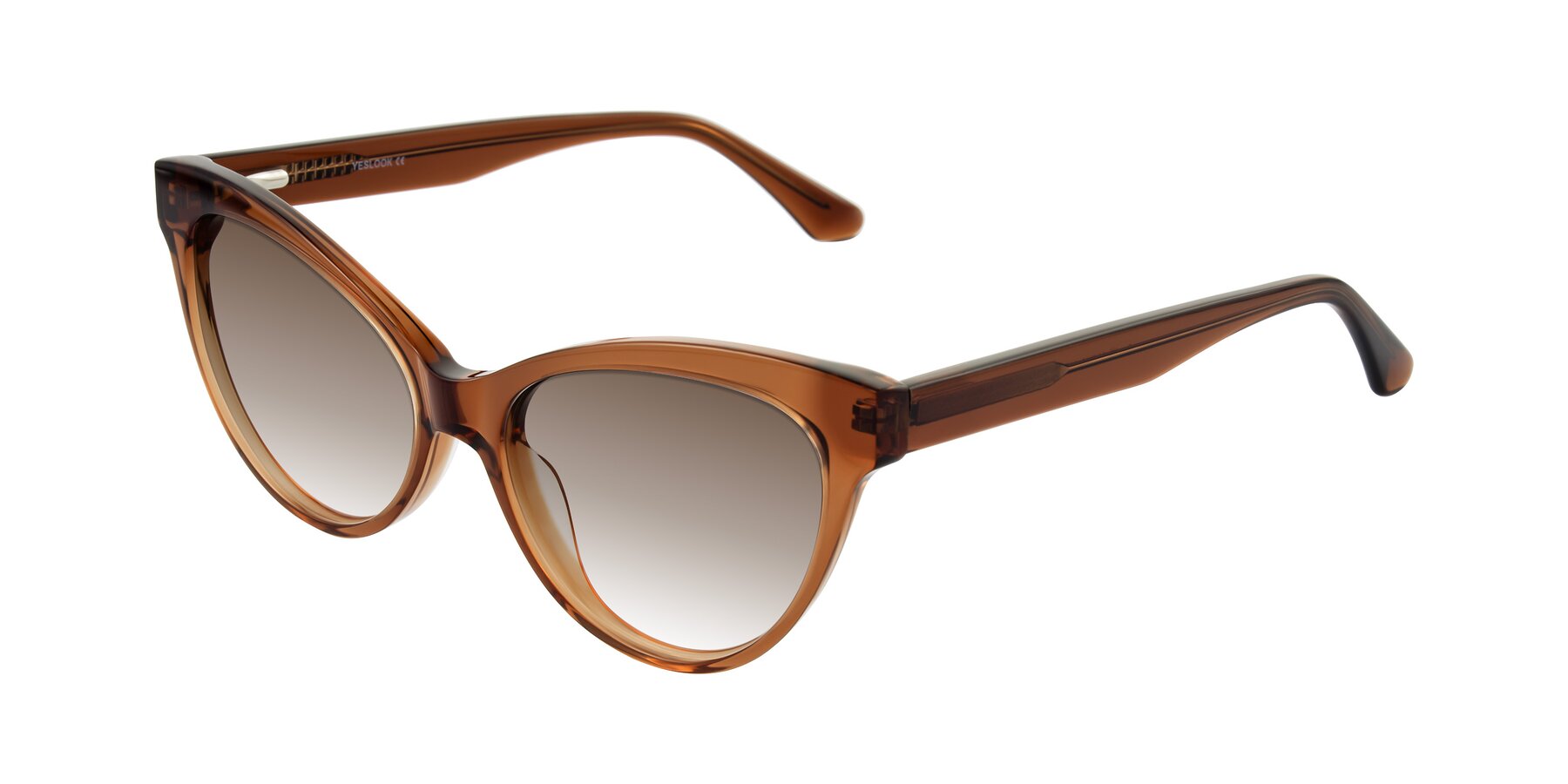 Angle of Carrick in Brown with Brown Gradient Lenses