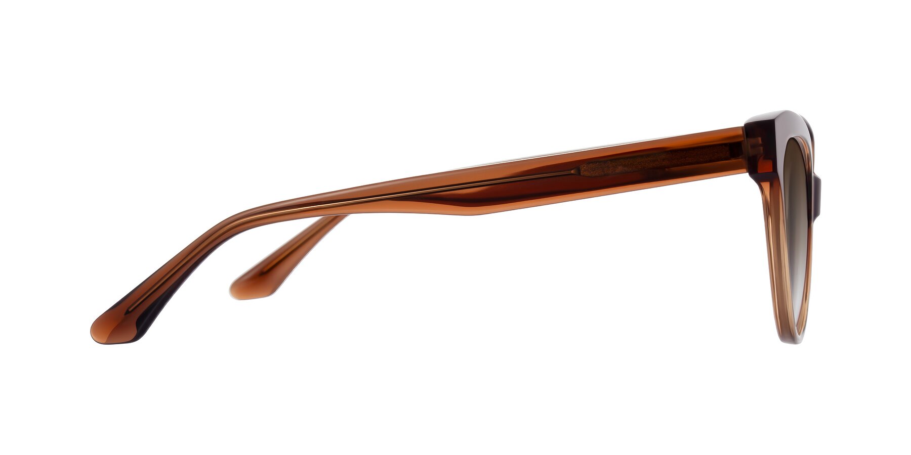 Side of Carrick in Brown with Brown Gradient Lenses