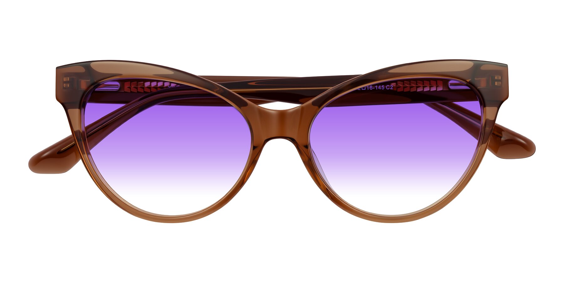 Folded Front of Carrick in Brown with Purple Gradient Lenses