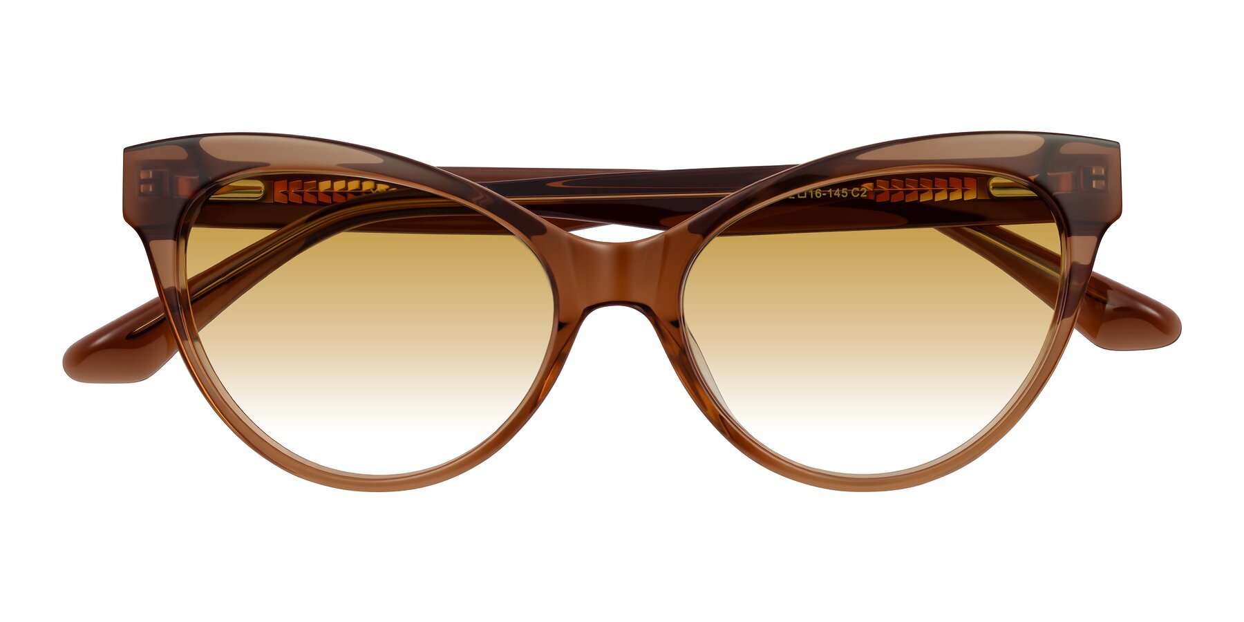 Folded Front of Carrick in Brown with Champagne Gradient Lenses