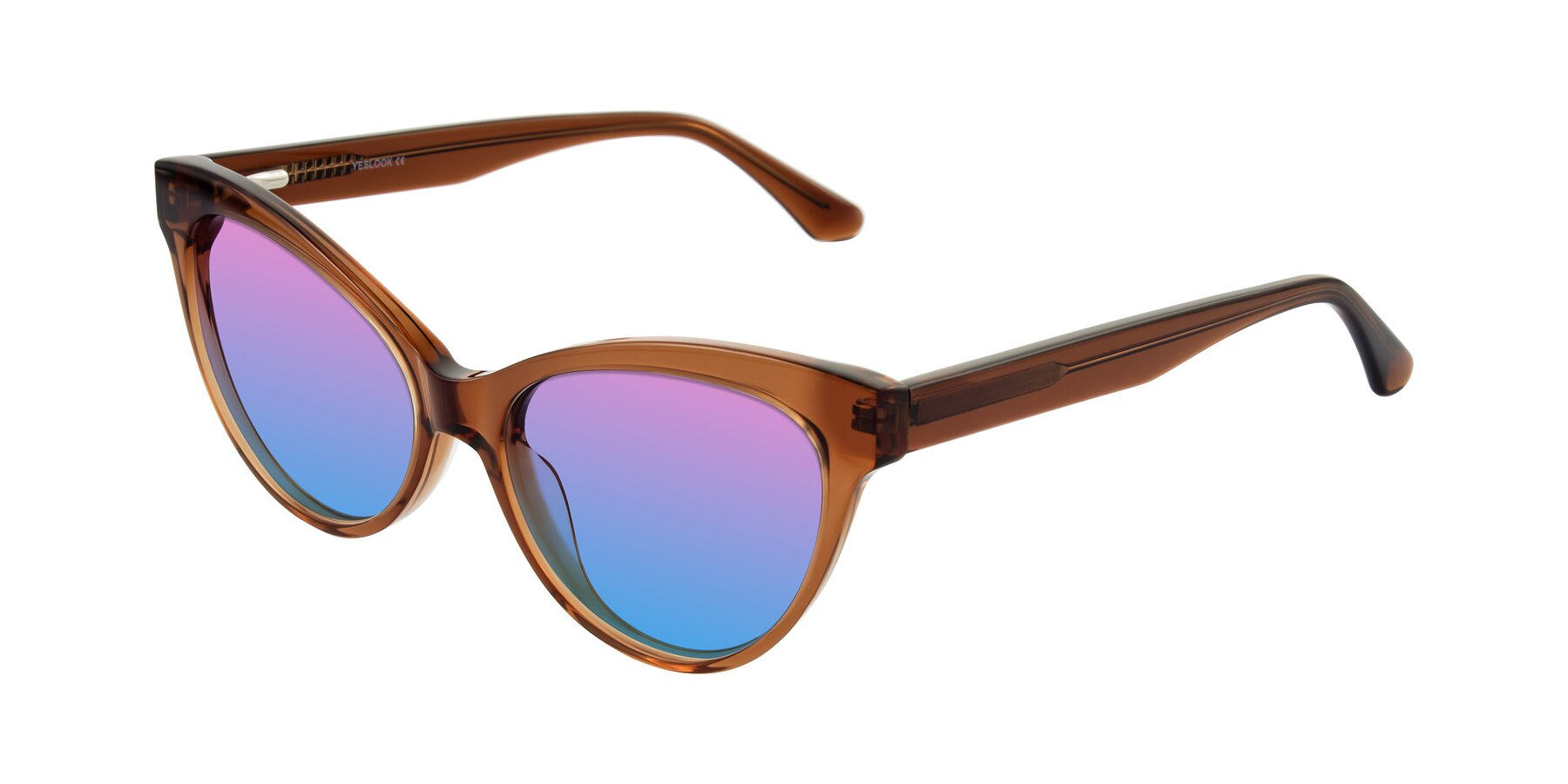 Angle of Carrick in Brown with Pink / Blue Gradient Lenses