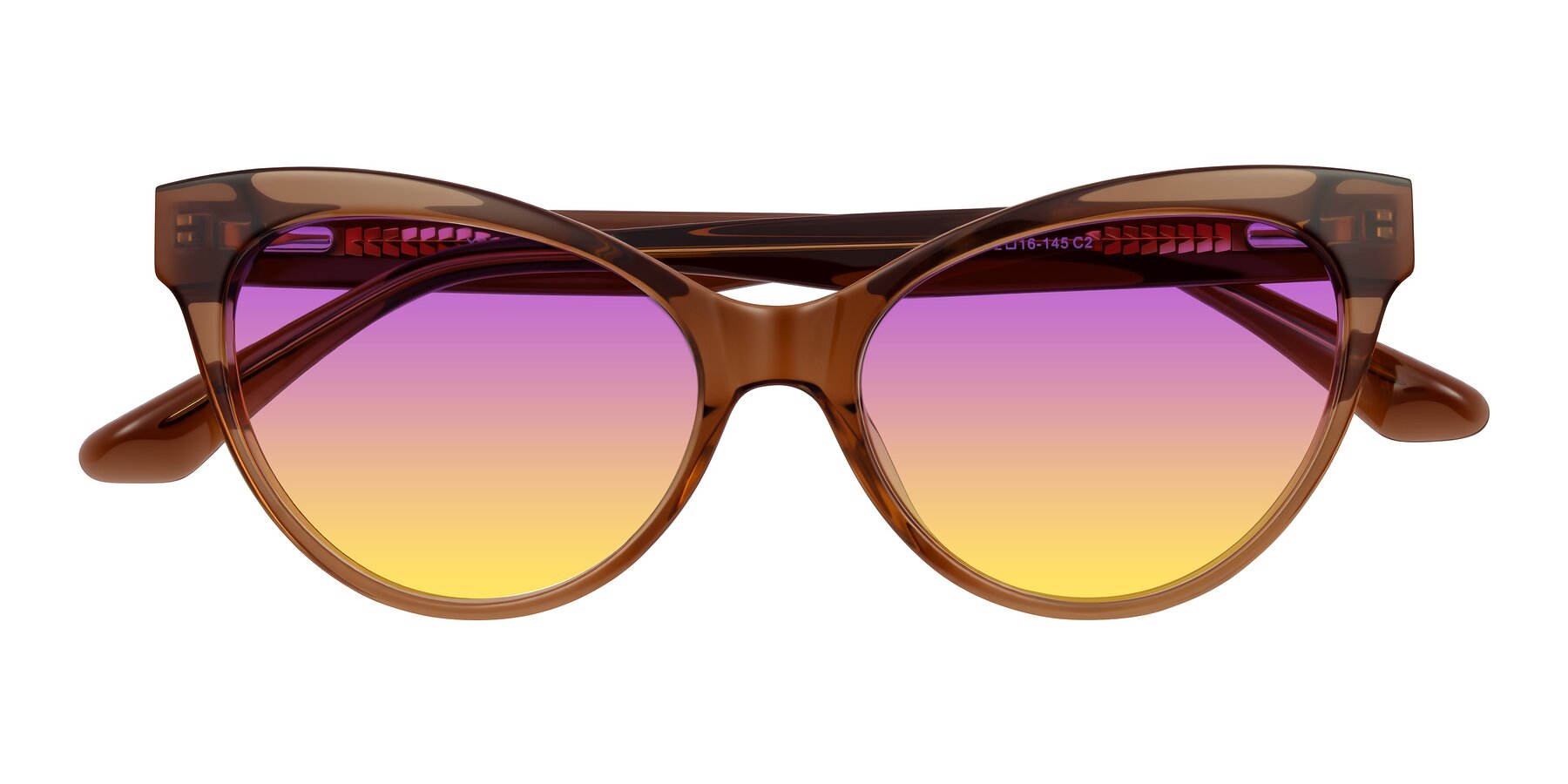 Folded Front of Carrick in Brown with Purple / Yellow Gradient Lenses