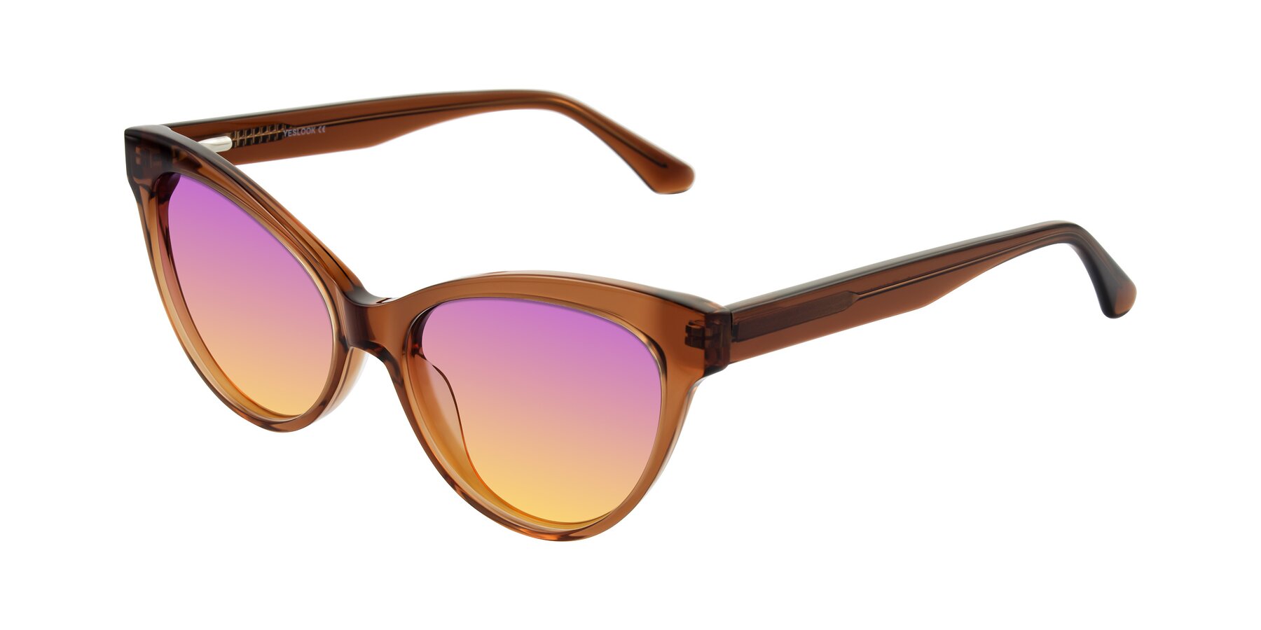 Angle of Carrick in Brown with Purple / Yellow Gradient Lenses