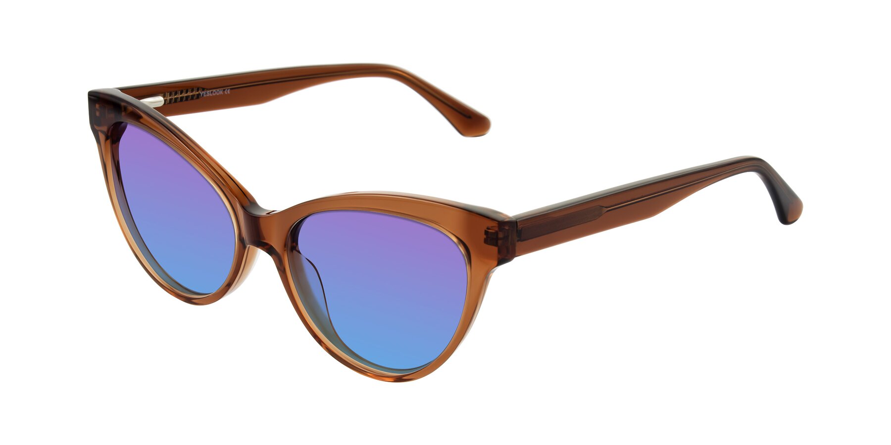 Angle of Carrick in Brown with Purple / Blue Gradient Lenses