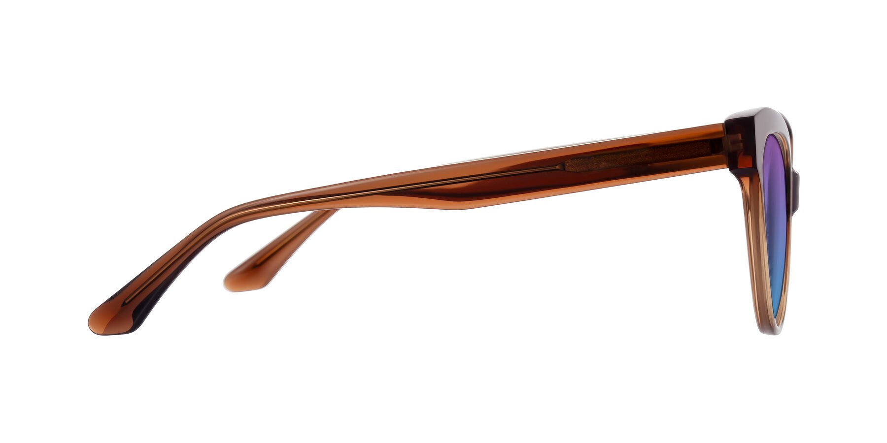 Side of Carrick in Brown with Purple / Blue Gradient Lenses