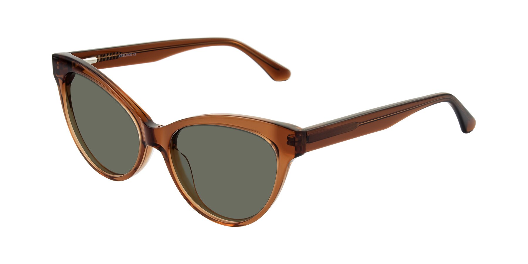 Angle of Carrick in Brown with Gray Polarized Lenses