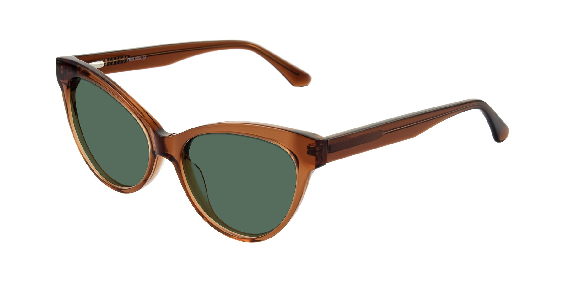 Angle of Carrick in Brown with Green Polarized Lenses