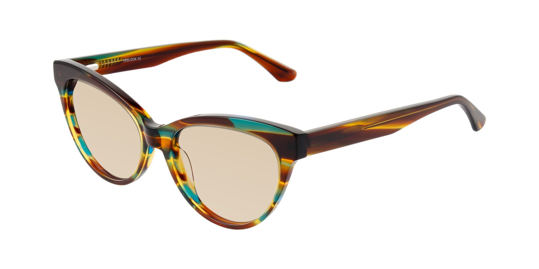 Angle of Carrick in Forest Tortoise with Light Brown Tinted Lenses