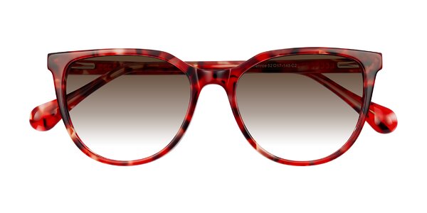 Front of Glenroe in Red Tortoise