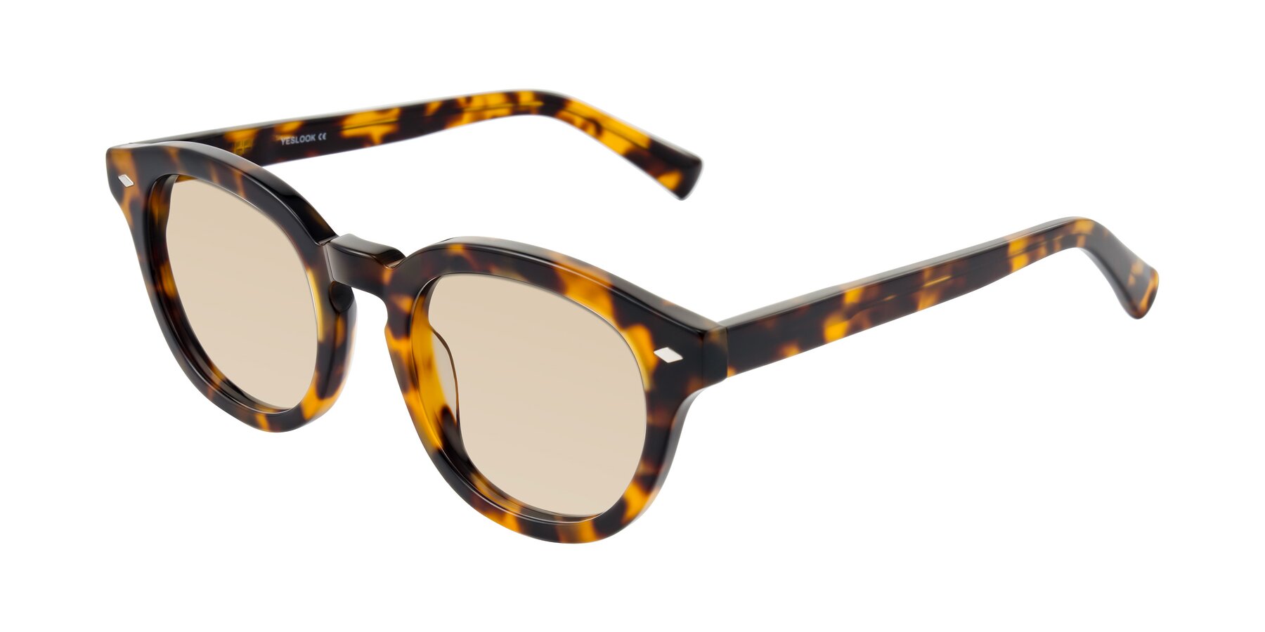 Angle of Nehrode in Tortoise with Light Brown Tinted Lenses