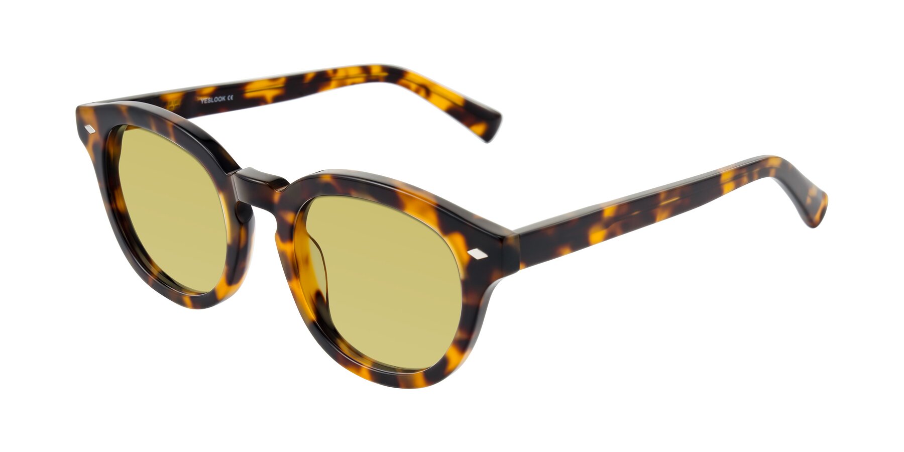 Angle of Nehrode in Tortoise with Medium Champagne Tinted Lenses