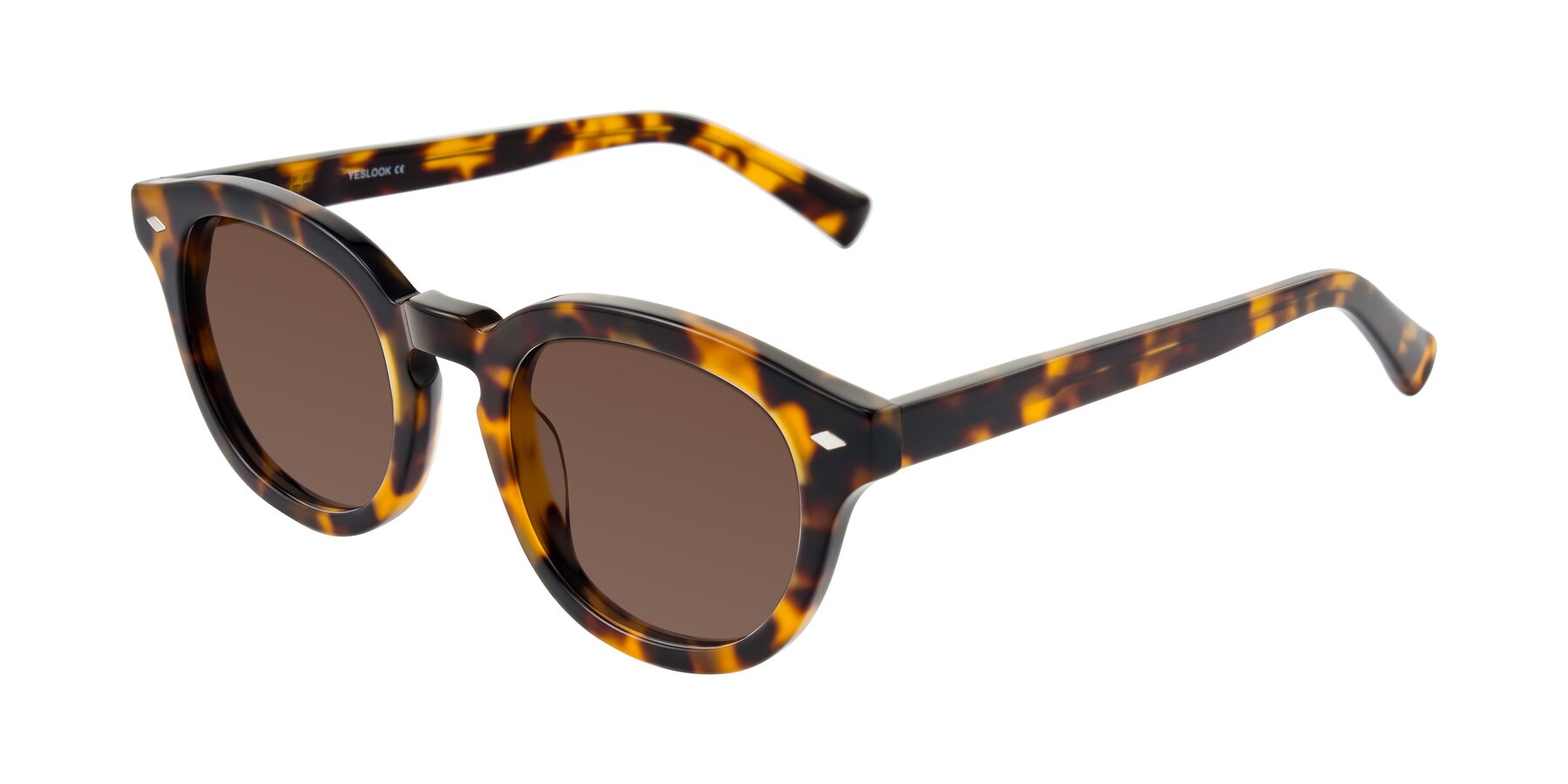 Angle of Nehrode in Tortoise with Brown Tinted Lenses