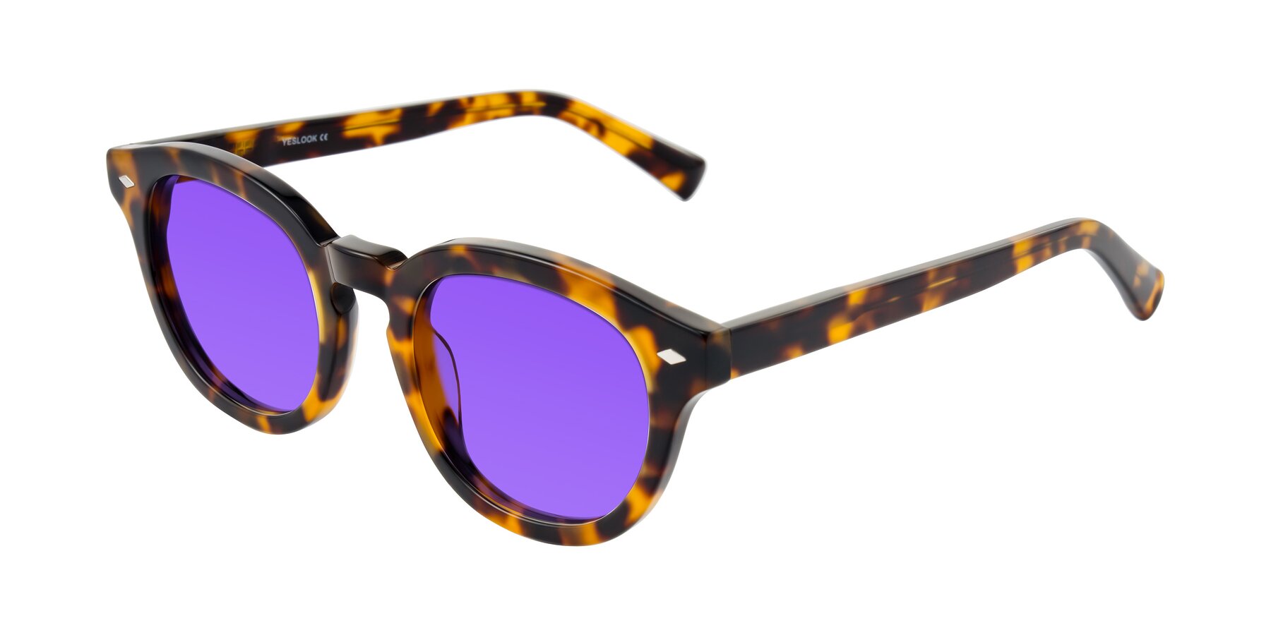 Angle of Nehrode in Tortoise with Purple Tinted Lenses
