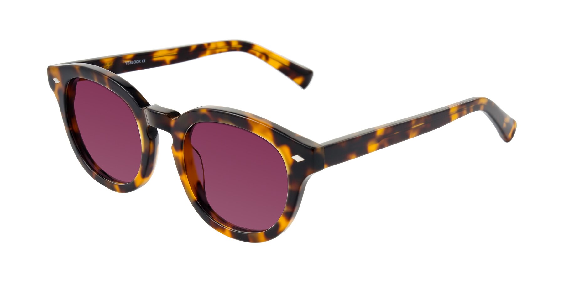 Angle of Nehrode in Tortoise with Wine Tinted Lenses