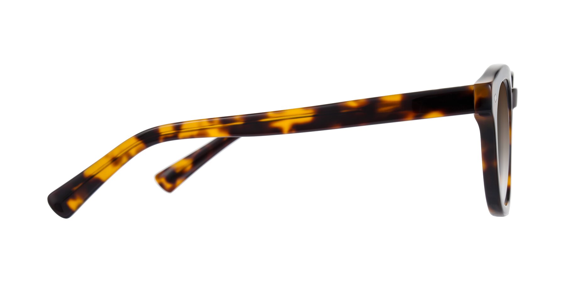 Side of Nehrode in Tortoise with Brown Gradient Lenses