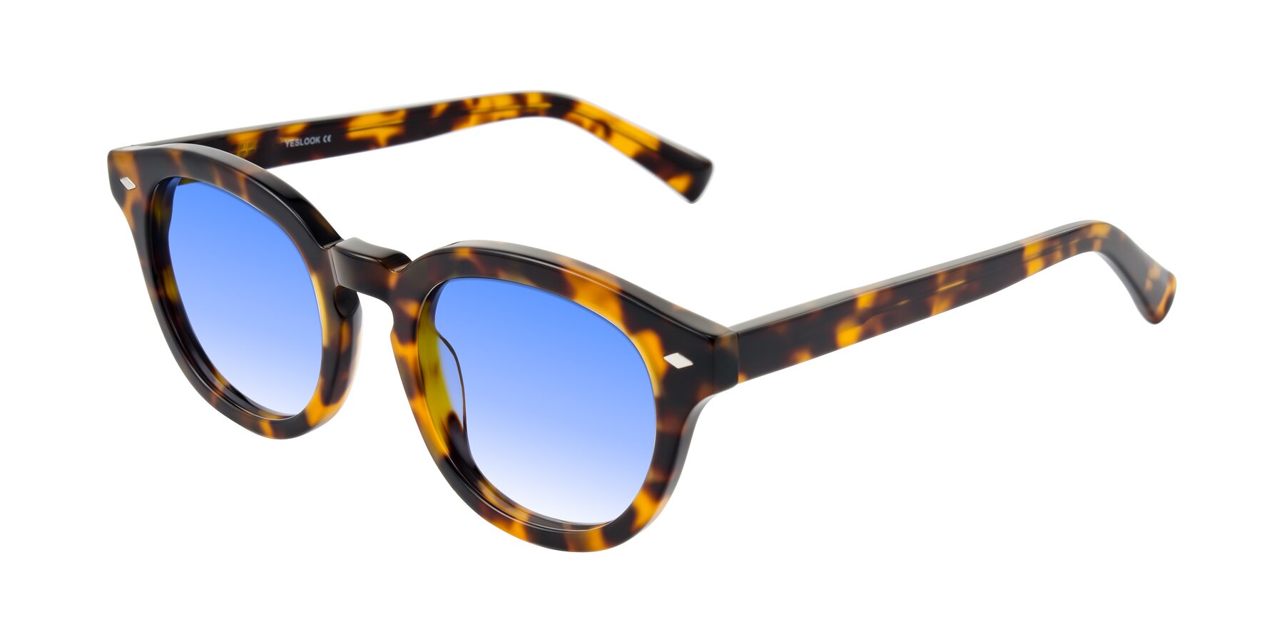 Angle of Nehrode in Tortoise with Blue Gradient Lenses