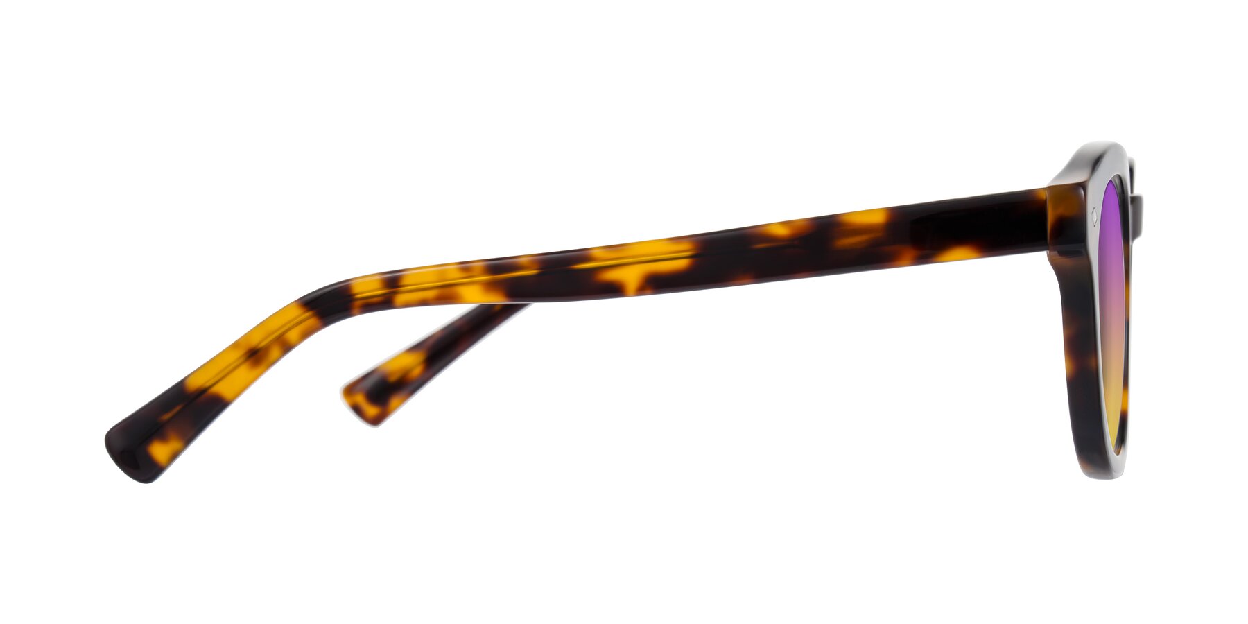 Side of Nehrode in Tortoise with Purple / Yellow Gradient Lenses