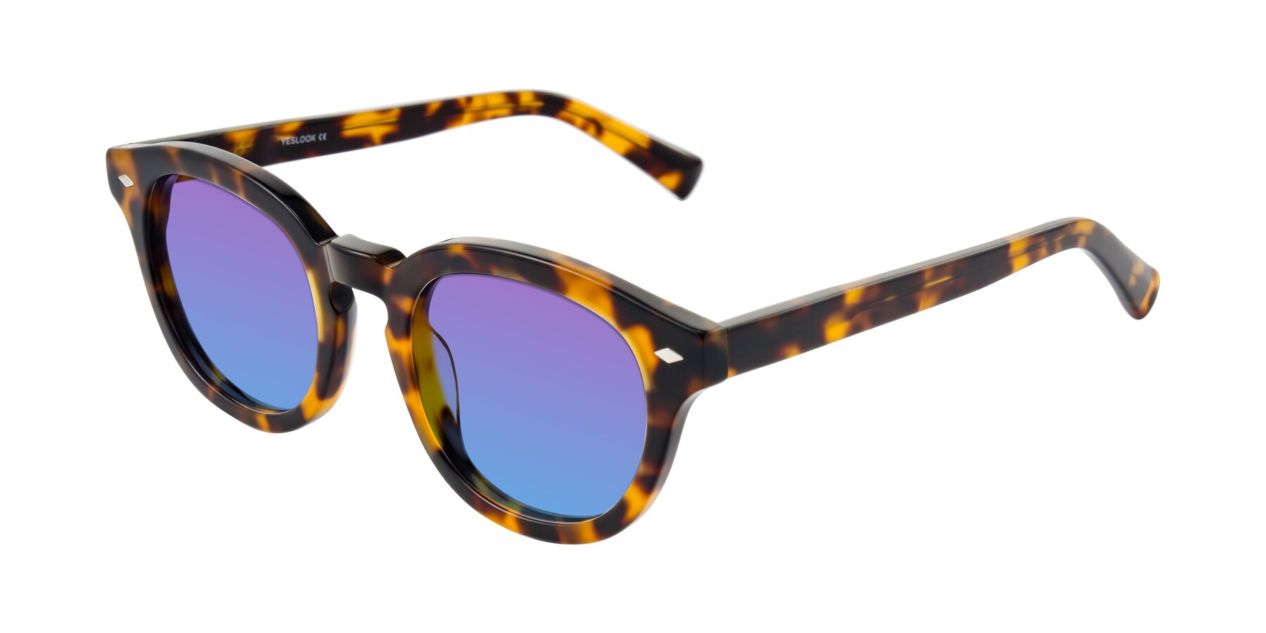 Angle of Nehrode in Tortoise with Purple / Blue Gradient Lenses