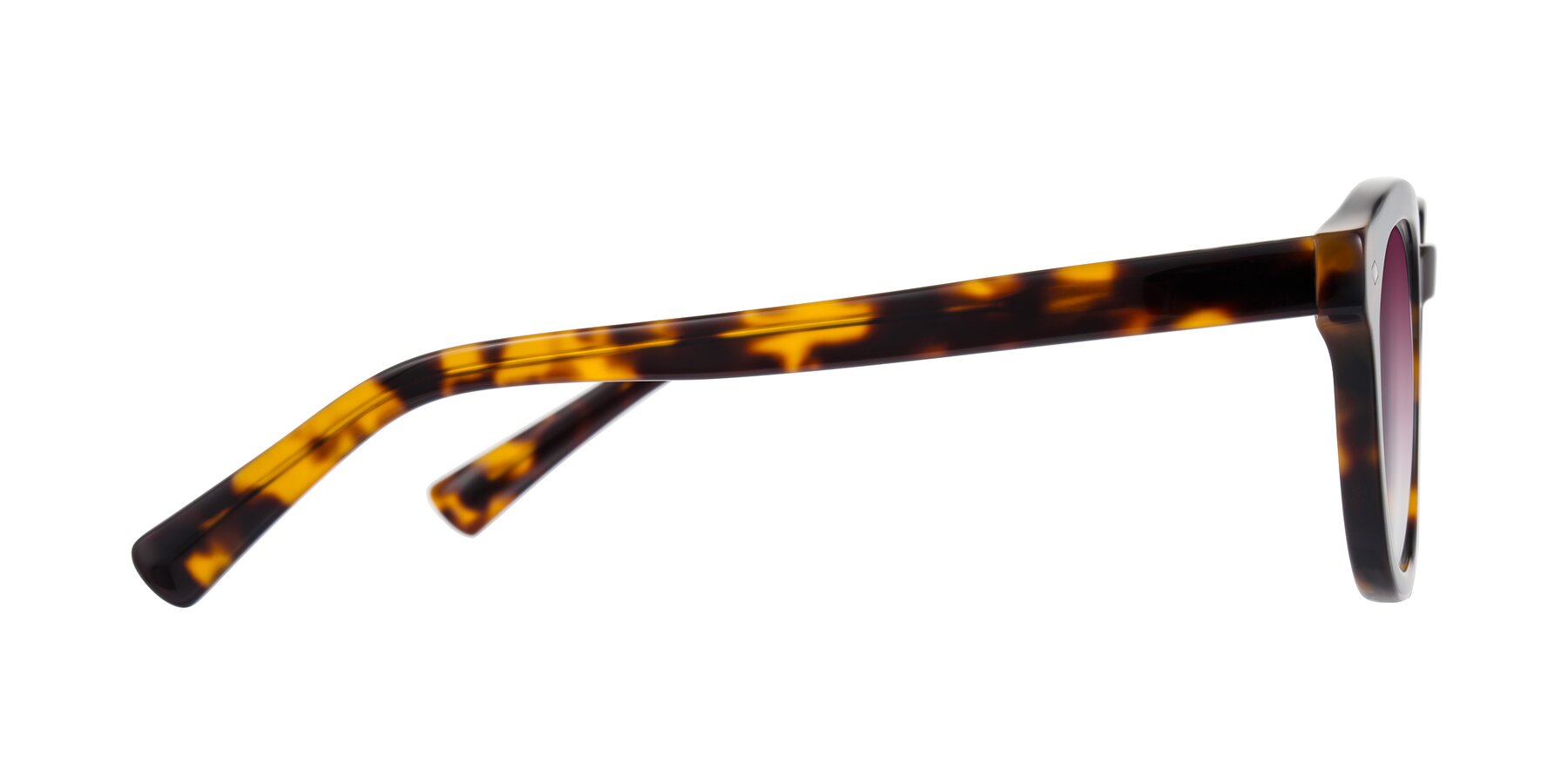 Side of Nehrode in Tortoise with Wine Gradient Lenses