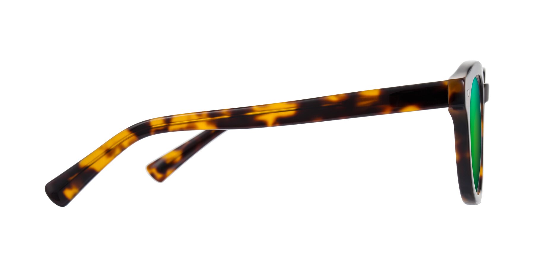 Side of Nehrode in Tortoise with Green Mirrored Lenses