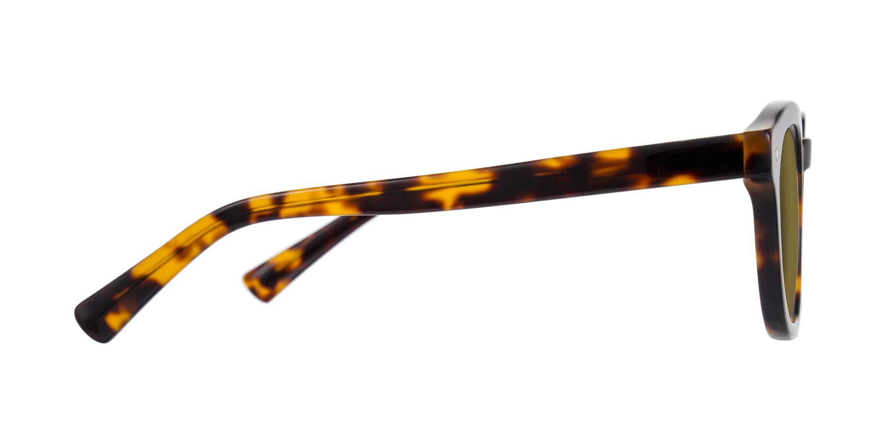 Side of Nehrode in Tortoise with Brown Polarized Lenses